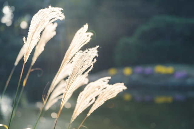 性格や価値観も踏まえて相談に乗ってくれた（20代／品質保証）